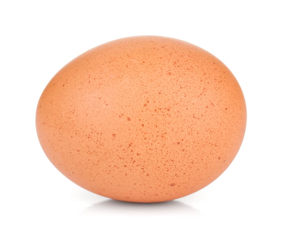 eggs