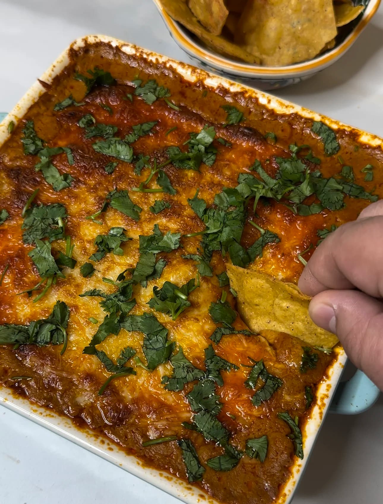 Picture for Enchilada Chicken Dip