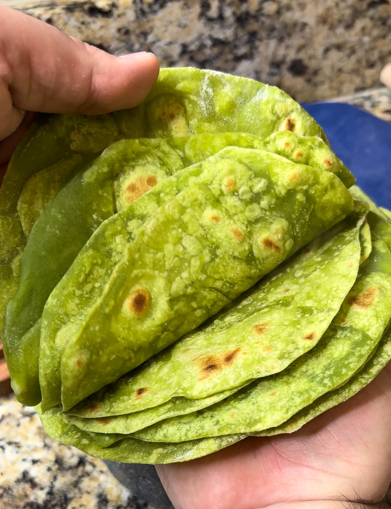 Picture for Spinach Flour Tortillas