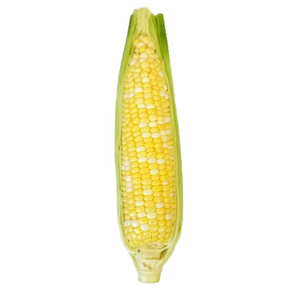 corn cobs, cut into thirds